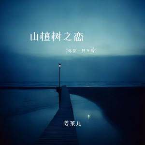 山楂树之恋（你是一只飞鸟）