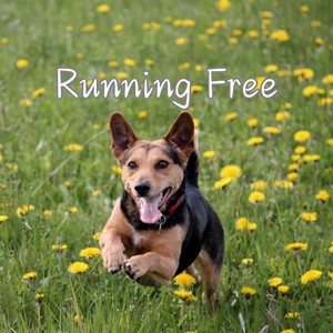 Running Free