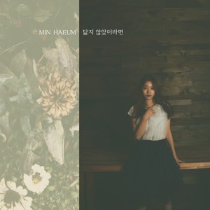 닮지 않았더라면 (不像的话)