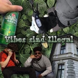 Vibes sind Illegal (Explicit)