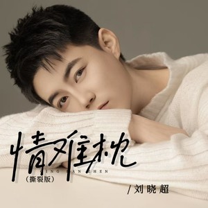 情难枕 (撕裂版)