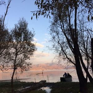 爱你就像爱生命