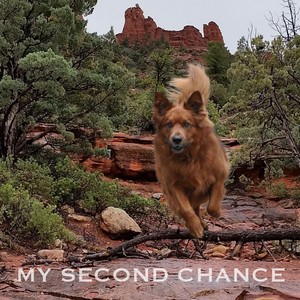 My Second Chance (feat. Conor Ashe, Ryan Ashe & Colin Peterik)