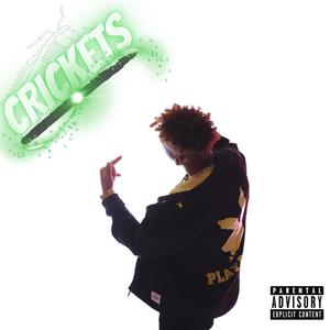 Crickets (Explicit)