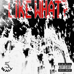 LIKE WHAT? (Explicit)