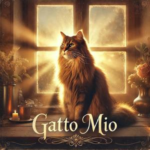 Gatto mio