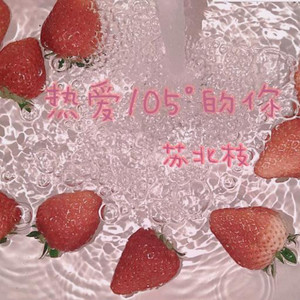 热爱105°C的你