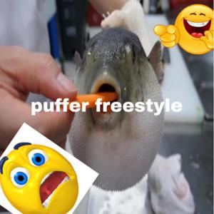 puffer freestyle