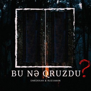 Bu Nə Qruzdu