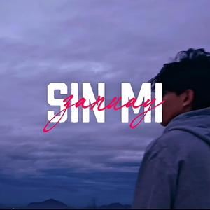 Sin mi