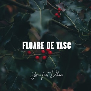 Floare de vasc (feat. Dibaci) [Explicit]