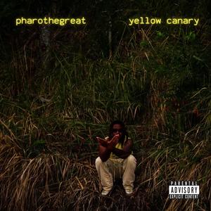 Yellow Canary (Explicit)