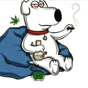 geekd w brodie (ᗒᗨᗕ) (feat. alycat) (Explicit)