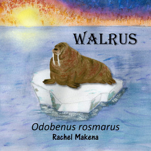 Walrus