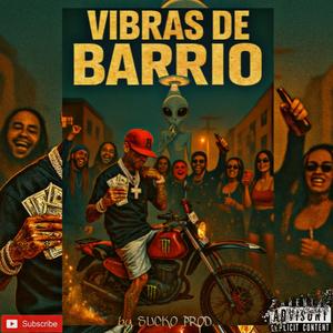 VIBRAS DE BARRIO