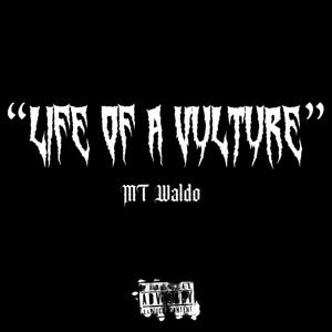 Life Of A Vulture (Explicit)