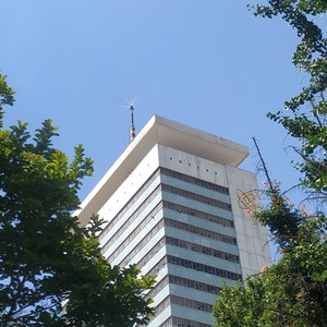 簇拥烈日的花 (少年版片段)