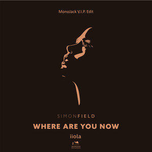 Where Are You Now (VIP Extended)