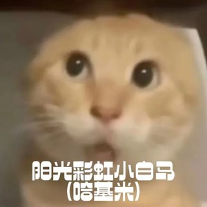 阳光彩虹小白马（哈基米）