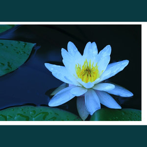 Nujabes-新跟旧 (王师傅 remix)