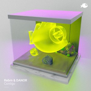 Contigo (Radio-Edit)