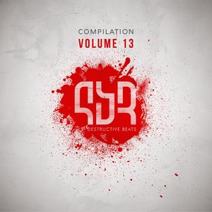 Destructive Compilation, Vol. 13