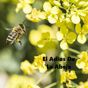 El Adios De La Abeja