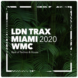 XCV (Signals From The Past Remix)
