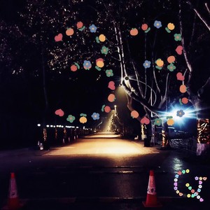 丸丸萱 - 尘（Dust） (伴奏)