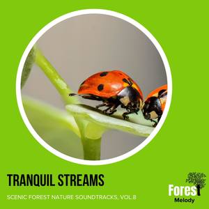 Sudden Waves on Boulder