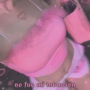 no fue mi intención