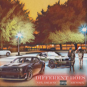 Different Hoes (feat. Ahno2x) [Explicit]