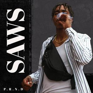 P.R.N.D (Explicit)