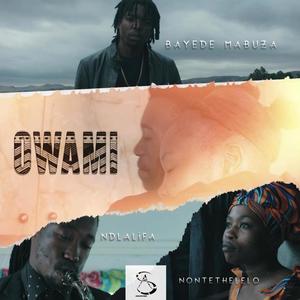 Owami (feat. Nontethelelo & Ndlalifa)