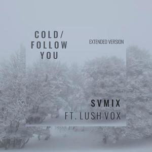 COLD/FOLLOW YOU (Extended Remix)