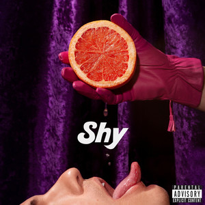 Shy (Explicit)