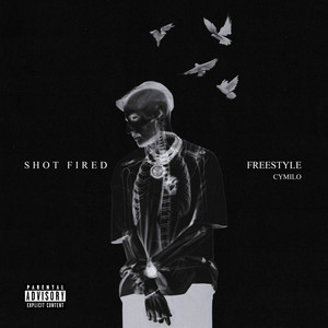 Shot Fired Freestyle (Explicit)