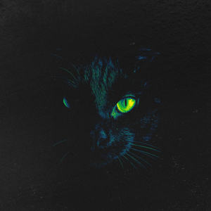 John McCrae - PROFILE