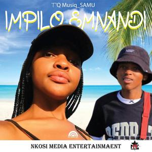 IMPILO EMNANDI (feat. SAMU)