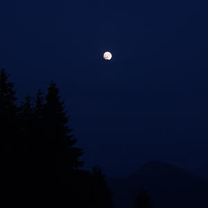 Improvisations no. 1