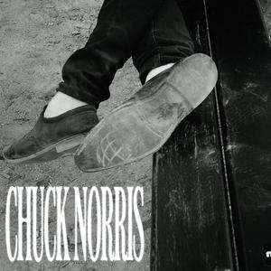 Chuck Norris (Explicit)