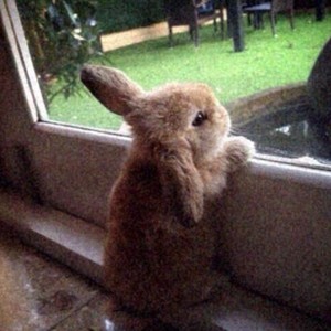 wish i could see u 2 (Explicit)