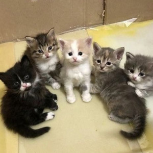 wish i could see u 2 (Explicit)