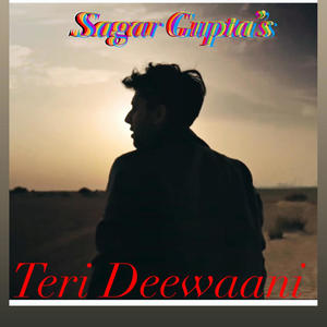 Teri Deewaani