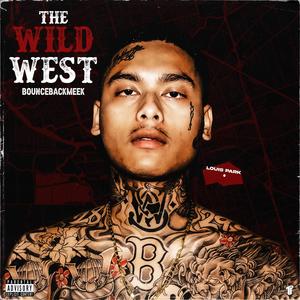 If You Riding (feat. Ted Park) (Explicit)