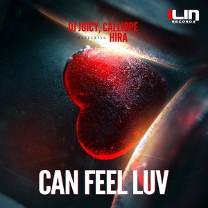 Can Feel Luv (Original Mix)