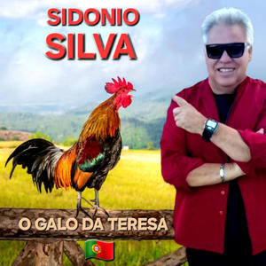 O GALO DA TERESA