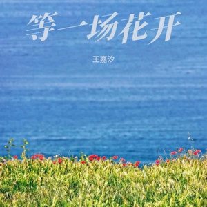 等一场花开 (超甜版)