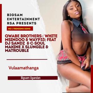 Vulaamathanga(feat. Qwabe Brothers, White Msindoo, Wayp33, Dj Sandz, C-SOUL Makine, Slungile, MaTrouble & Bigsam Ugandan)