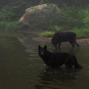 How Did You Get Here?(Loop)